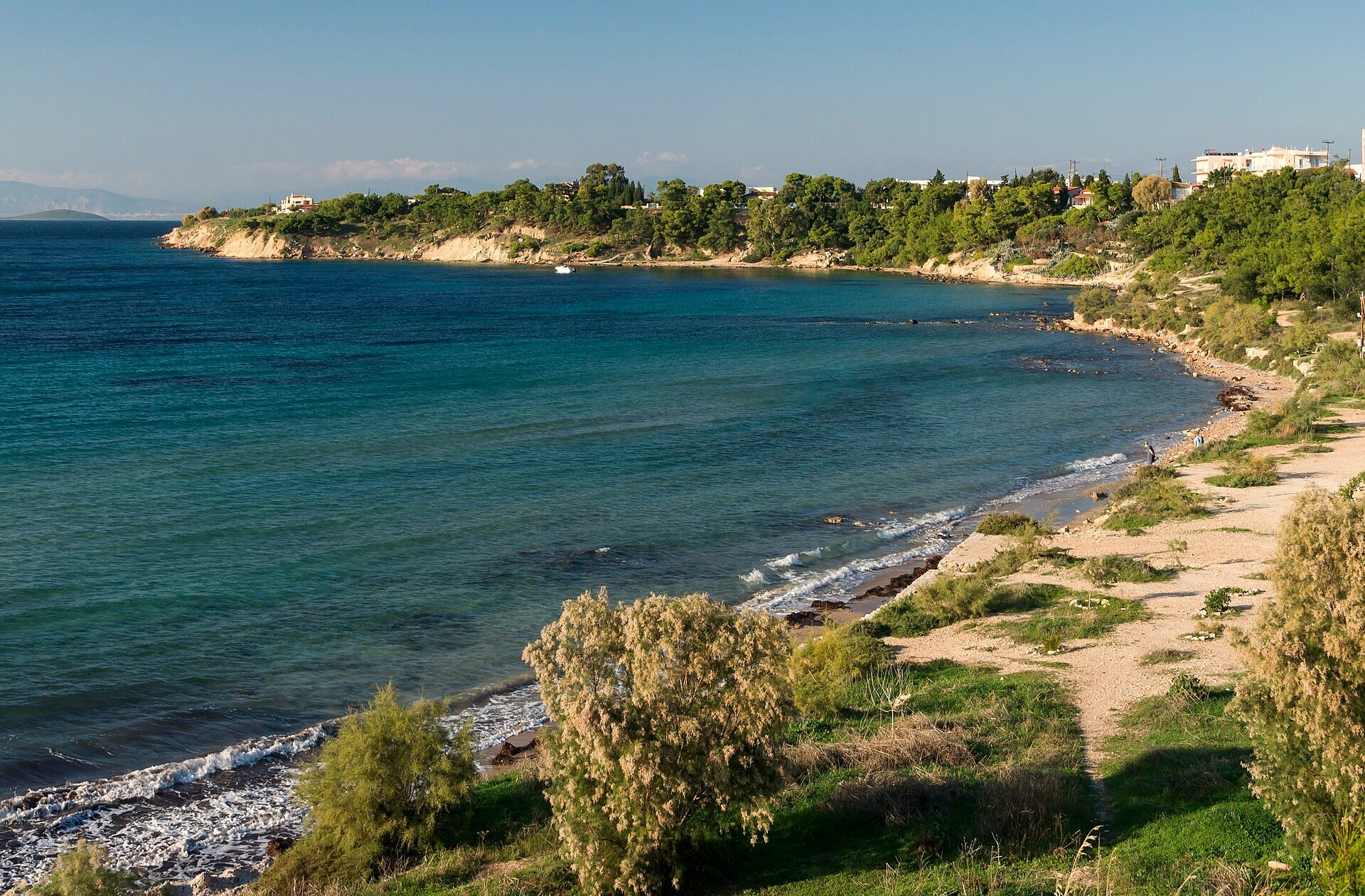 Côte boisée et baie d'Égine - golfe Saronique, Grèce