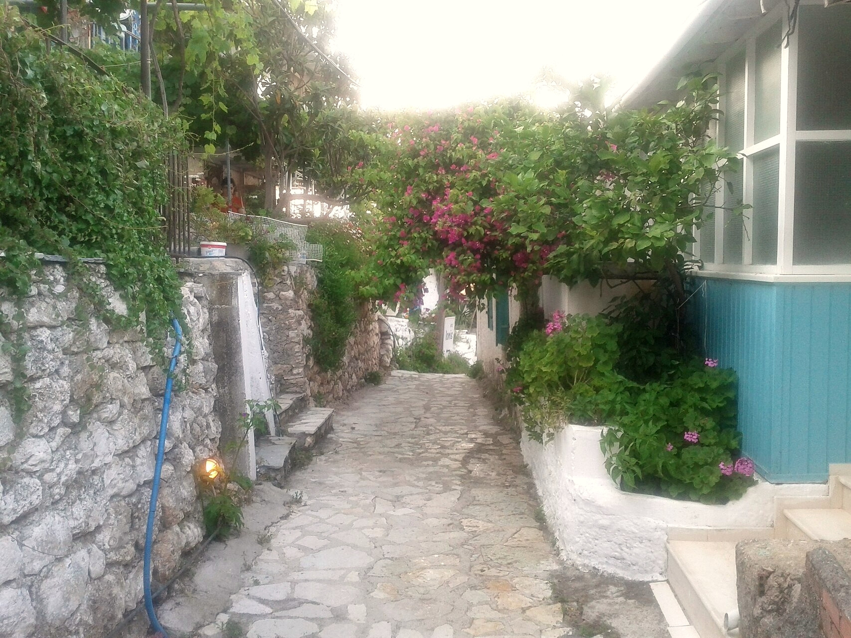 © spheeris, Wikimedia Commons (CC BY 3.0) Ruelle fleurie du village d'Agios Nikitas - Leucade, Îles Ioniennes - Grèce © spheeris / Wikimedia (CC BY 3.0)
