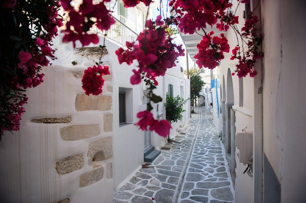 © Inselhupfen Ruelle fleurie de bougainvilliers - Cyclades - Grèce