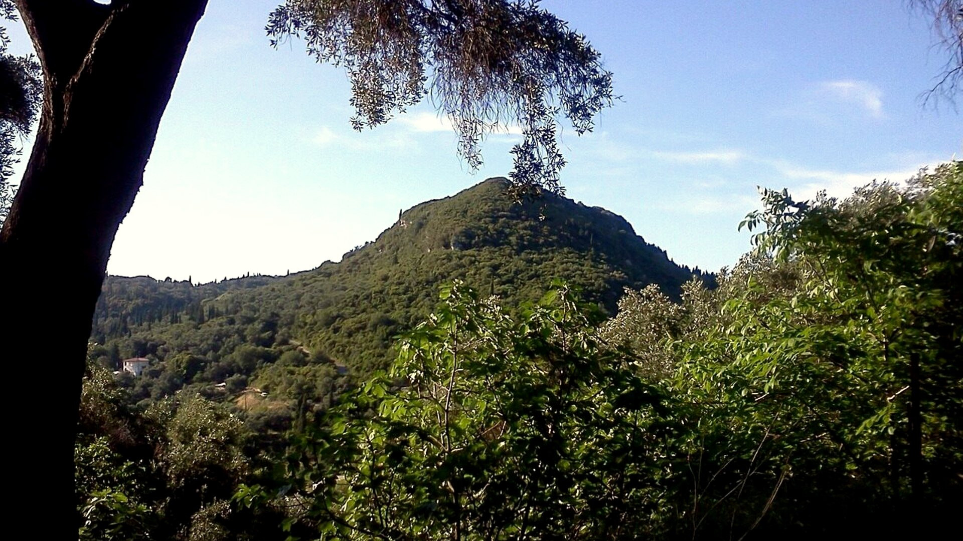 Collines verdoyantes au-dessus de la mer Ionienne - Corfou, Grèce