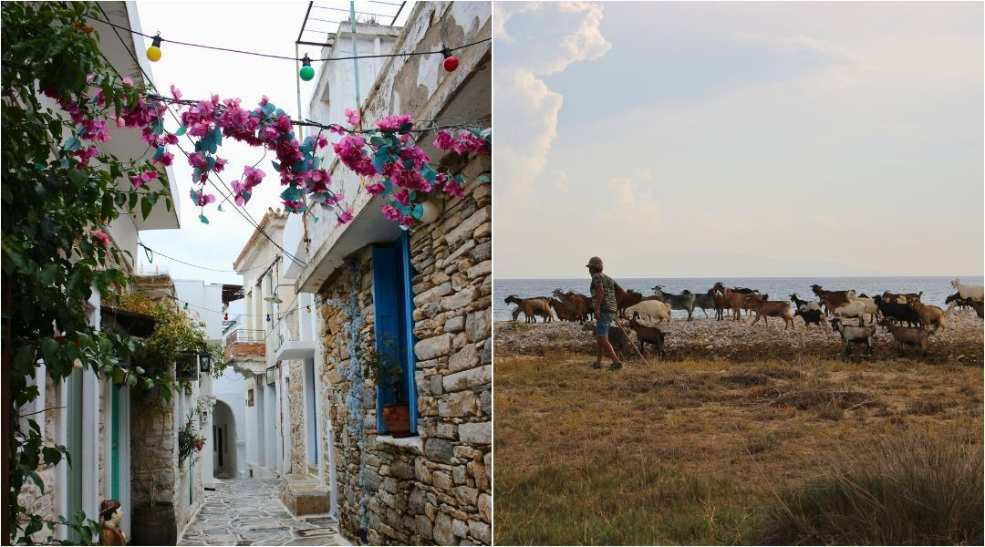 Tourisme responsable en Grèce - Kelifos