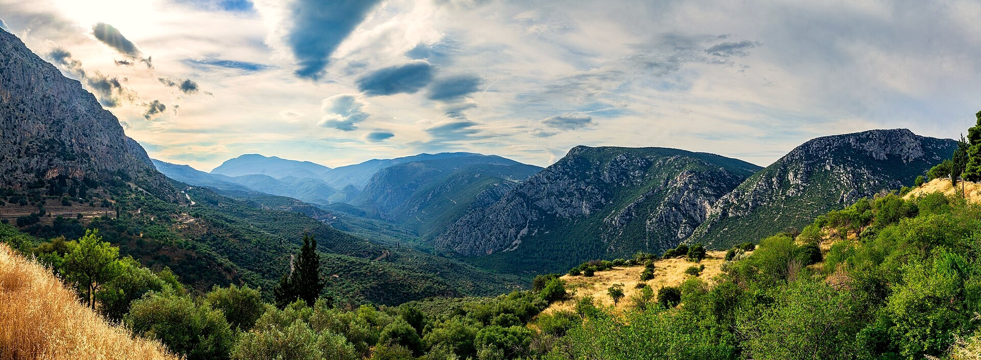 La vallée de Delphes et la mer d'oliviers vers le Parnasse - Grèce © Andrew Parlette / Wikimedia (CC BY 4.0)