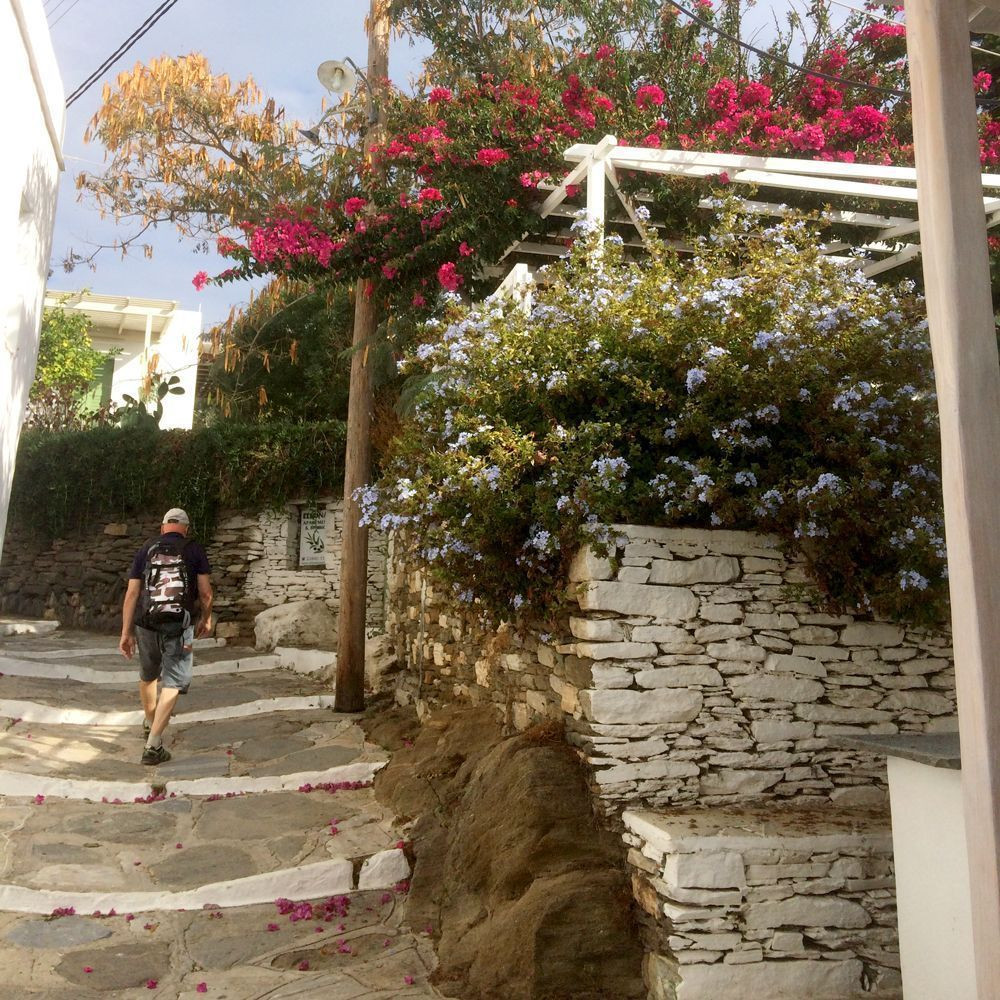 Ruelle fleurie d'Apollonia - Sifnos - Cyclades - Grèce