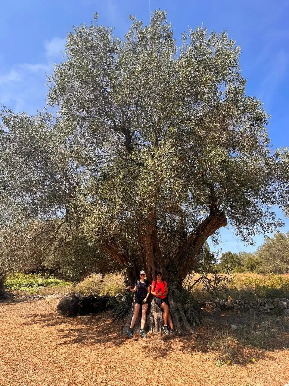 Randonneur sur le Tour du Mont-Blanc - Alpes - France (2)