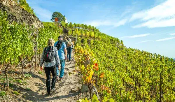 Randonnee dans les gorges de Samaria - Crete - Grece