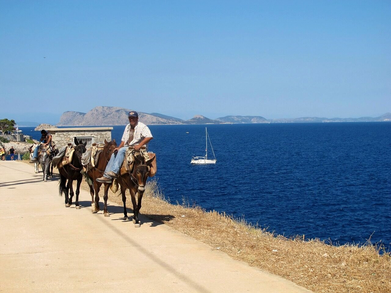Sentier côtier et mules au bord de la mer turquoise - Hydra, Grèce