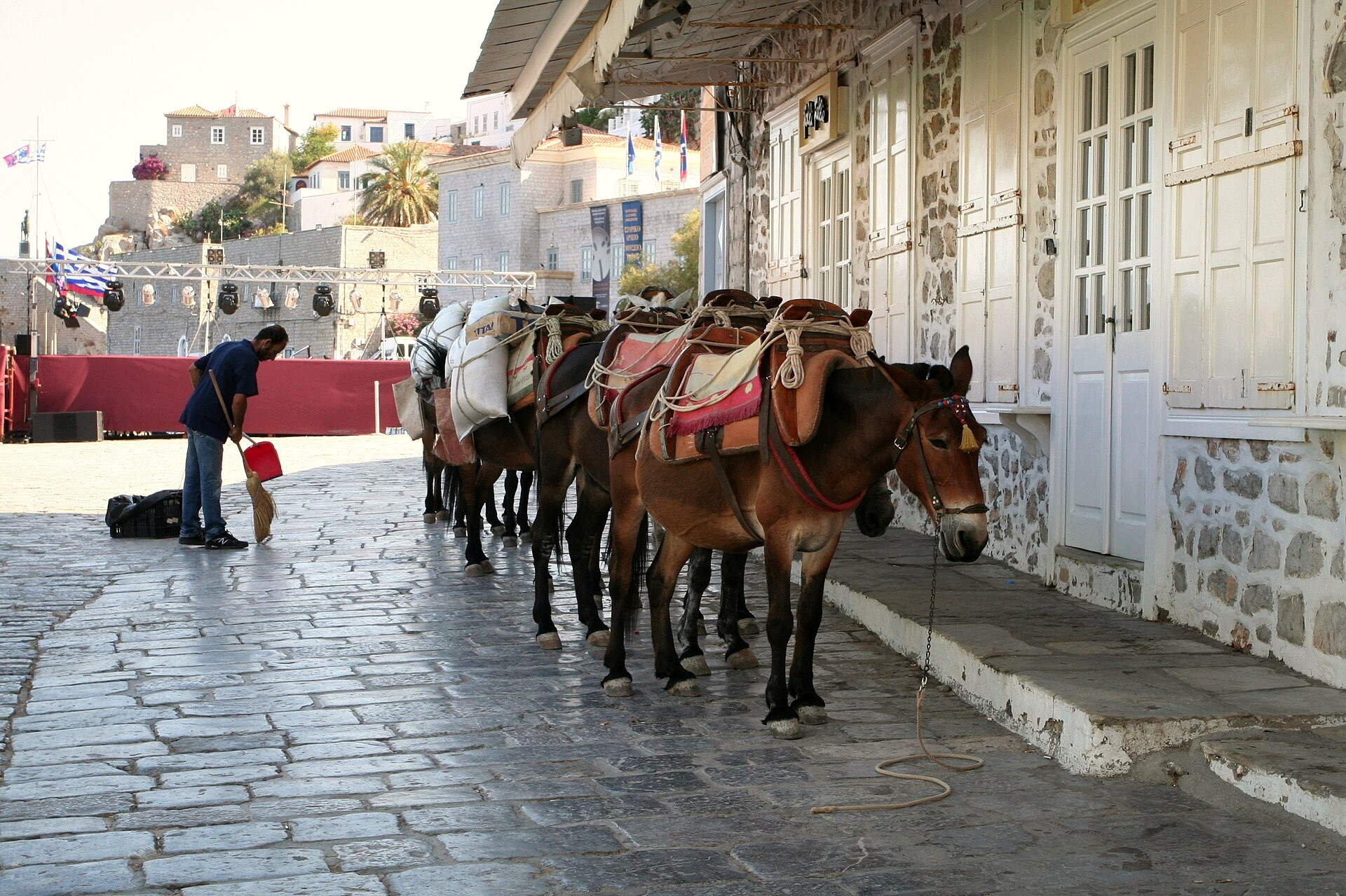 Mules de bât alignées sur le quai du port - Hydra, Grèce © Sharon Mollerus / Wikimedia (CC BY 2.0)