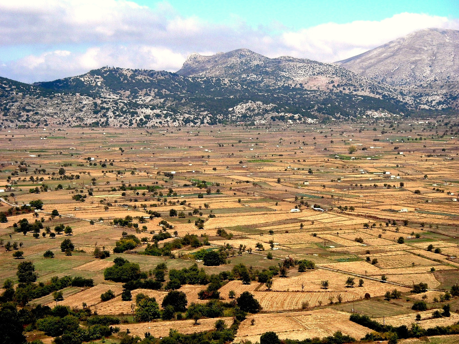 Plateau du Lassithi et ses champs en damier - Crète - Grèce