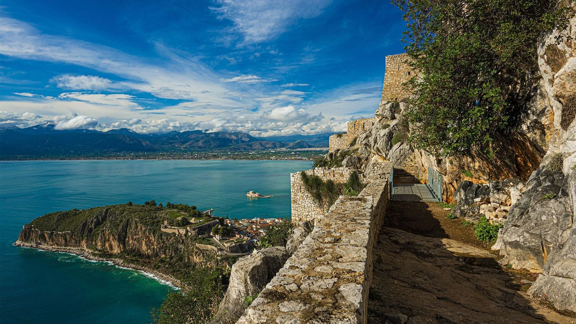 Narcisses sur la plaine de la Molière - Vercors - France