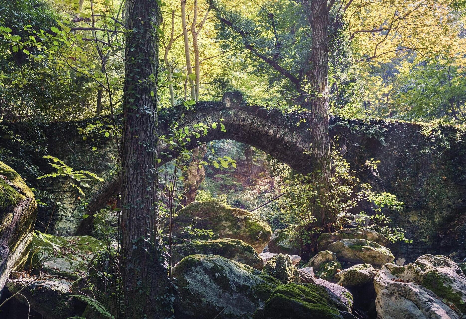 © Stathis Floros, Wikimedia Commons (CC BY-SA 4.0) Vieux pont de pierre sur un kalderimi en forêt - Pélion, Thessalie - Grèce © Stathis Floros / Wikimedia (CC BY-SA 4.0)