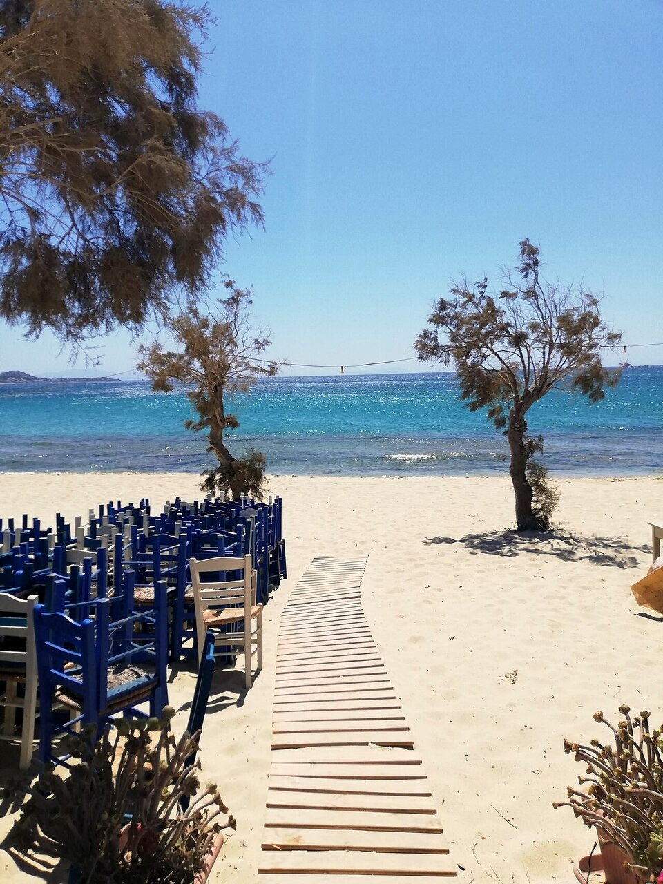 Plage de sable de Plaka et ses tamaris - Naxos, Cyclades - Grèce © Lavinia Iazzetti / Wikimedia (CC BY-SA 4.0)