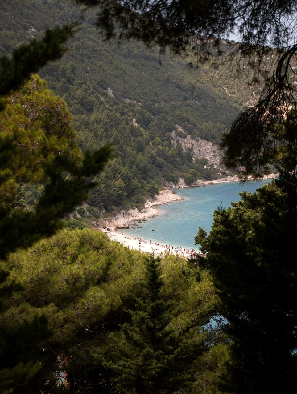 Plage cachée bordée de pins - Skopelos, Grèce