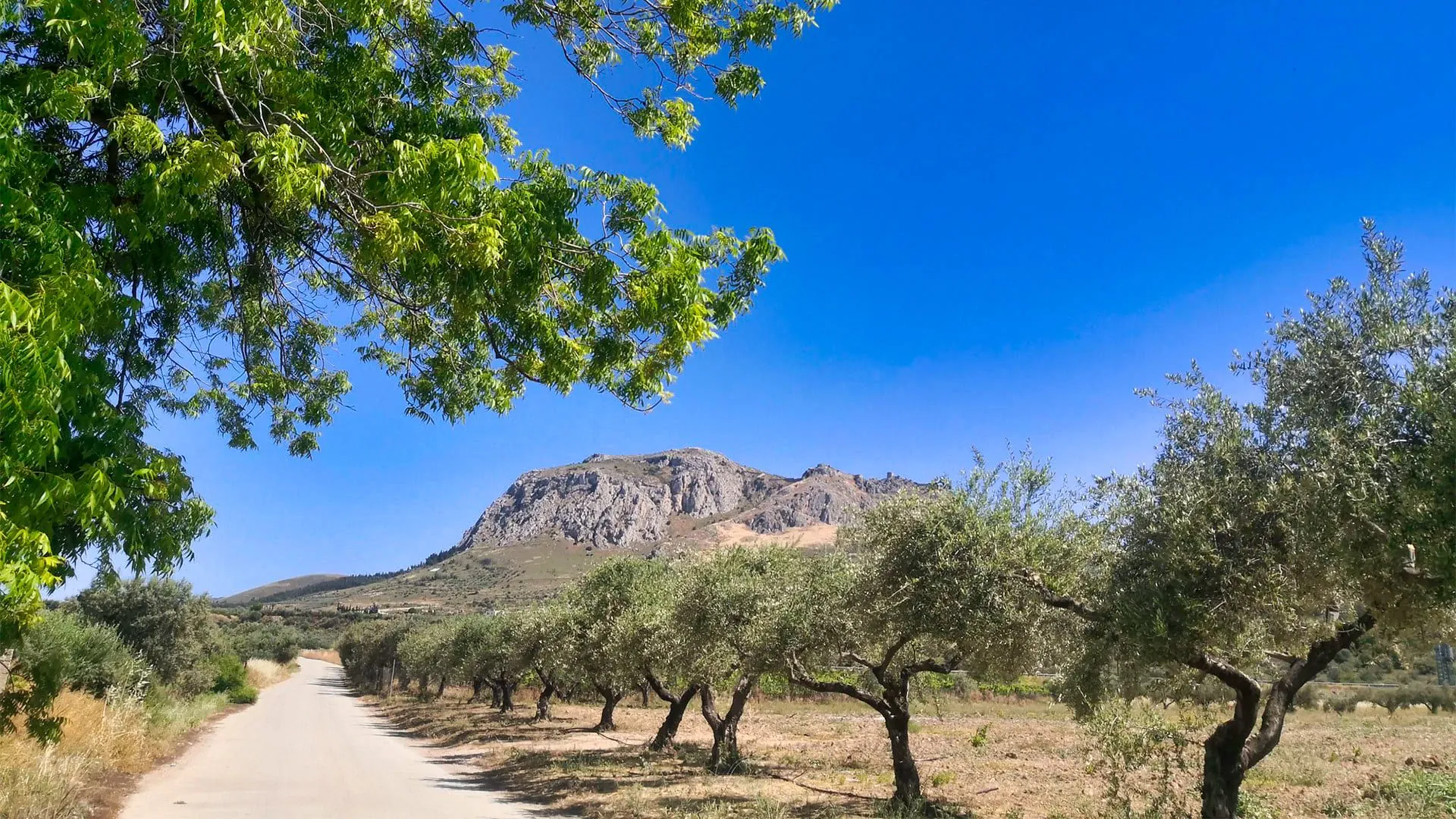 Sur La Route De Corinthe C Nicolas Saenger - Grèce © Nicolas Saenger