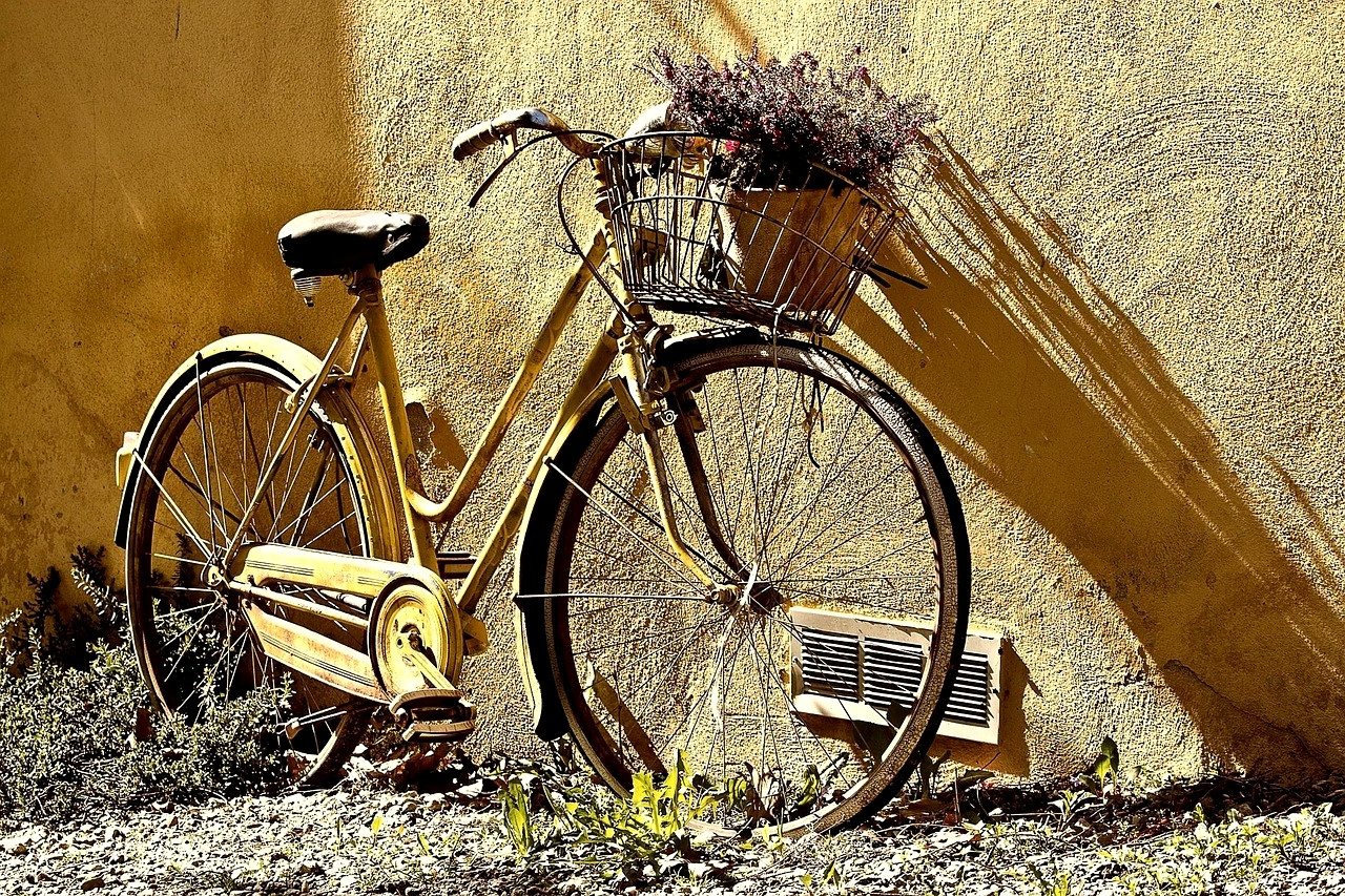 Vélo et son panier de fleurs contre un mur ensoleillé - Corfou - Grèce