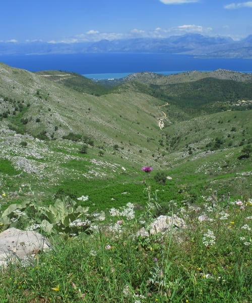 Des pentes du Pantokrator, vue sur les montagnes albanaises © François Ribard